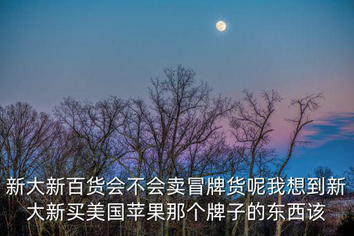 新大新百貨會不會賣冒牌貨呢我想到新大新買美國蘋果那個牌子的東西該
