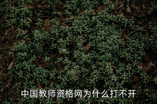 中國教師資格網站，請問省內的教師資格證可以在中國教師資格網上查詢到么