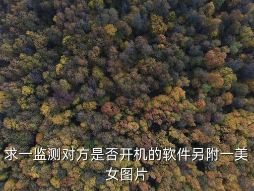 求一監測對方是否開機的軟件另附一美女圖片