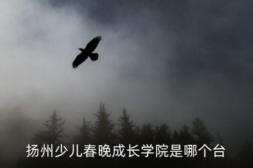 揚州少兒春晚成長學院是哪個臺