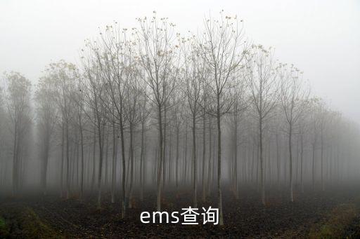 ems查詢