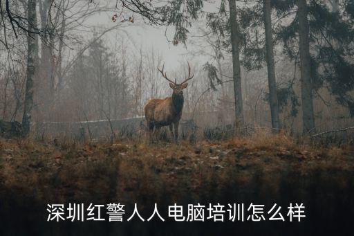 深圳紅警人人電腦培訓(xùn)怎么樣