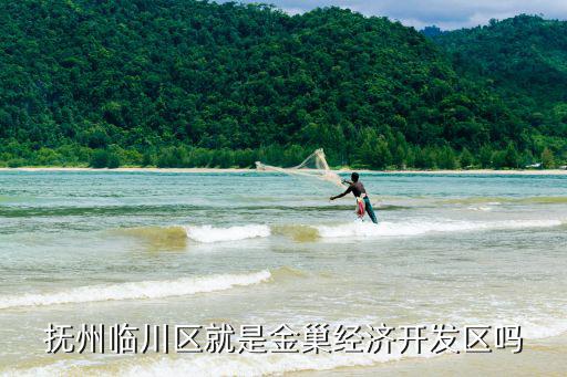 撫州臨川區就是金巢經濟開發區嗎
