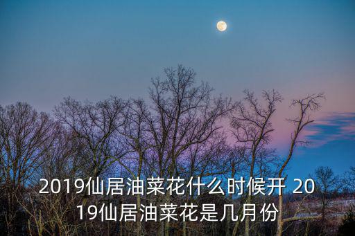 2019仙居油菜花什么時候開 2019仙居油菜花是幾月份