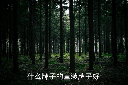 什么牌子的童裝牌子好