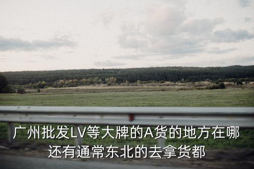 廣州批發(fā)LV等大牌的A貨的地方在哪還有通常東北的去拿貨都