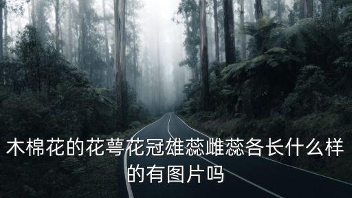 木棉花的花萼花冠雄蕊雌蕊各長什么樣的有圖片嗎