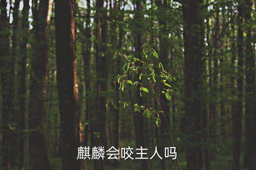 麒麟會(huì)咬主人嗎