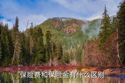 保險金，保險金是指什么