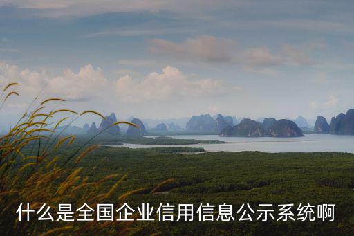 信用信息公示，什么是全國企業信用信息公示系統啊