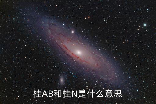 桂AB和桂N是什么意思