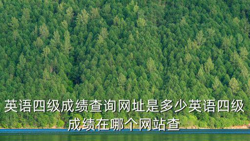 四級成績查詢官網入口，英語四級成績查詢網址是多少英語四級成績在哪個網站查