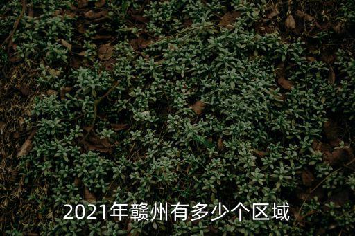 2021年贛州有多少個區域