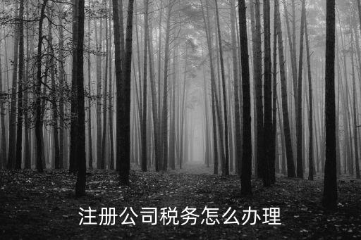 注冊(cè)公司稅務(wù)怎么辦理