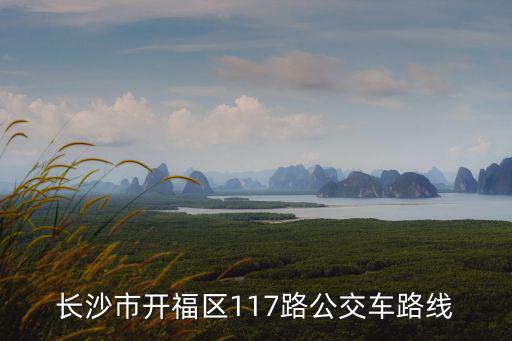117路公交車路線圖，長沙市開福區117路公交車路線