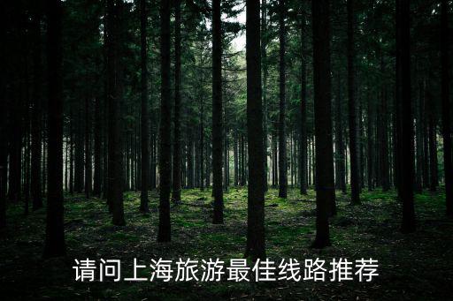 請問上海旅游最佳線路推薦