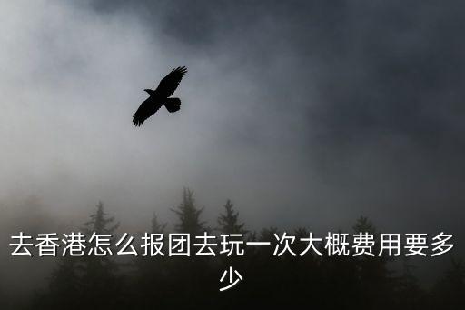 去香港怎么報(bào)團(tuán)去玩一次大概費(fèi)用要多少