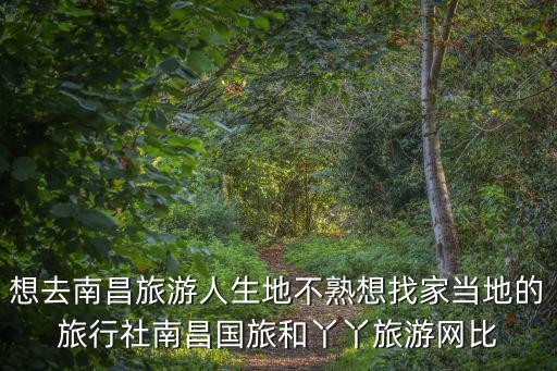 想去南昌旅游人生地不熟想找家當地的旅行社南昌國旅和丫丫旅游網比