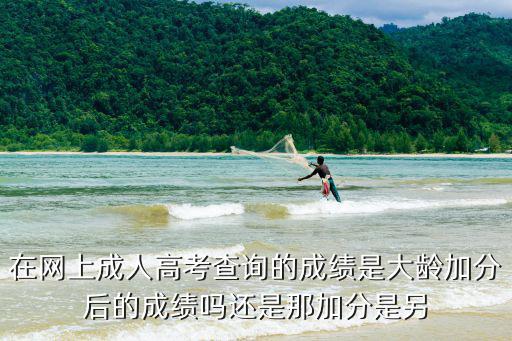成人高考查分，成人高考后幾天可以查分