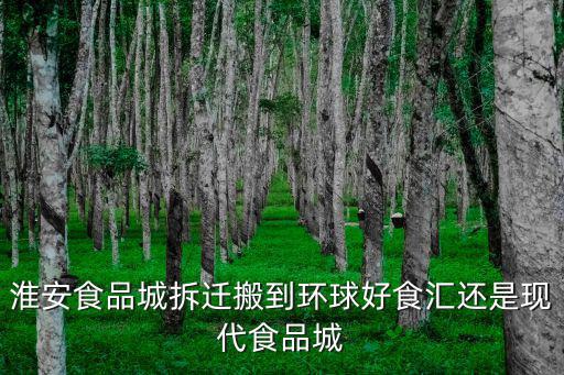 淮安食品城拆遷搬到環(huán)球好食匯還是現(xiàn)代食品城