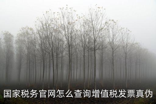 發票查詢真偽查詢官網，怎么在網上查詢增值稅發票真偽