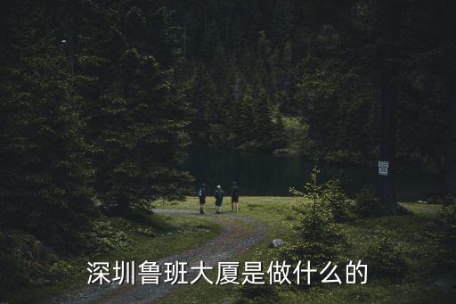 魯班大廈，深圳市魯班大廈10樓是什么公司