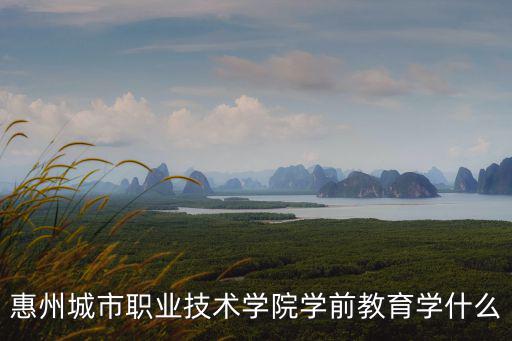 惠州城市職業技術學院學前教育學什么