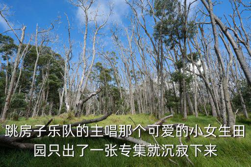 跳房子樂隊的主唱那個可愛的小女生田園只出了一張專集就沉寂下來