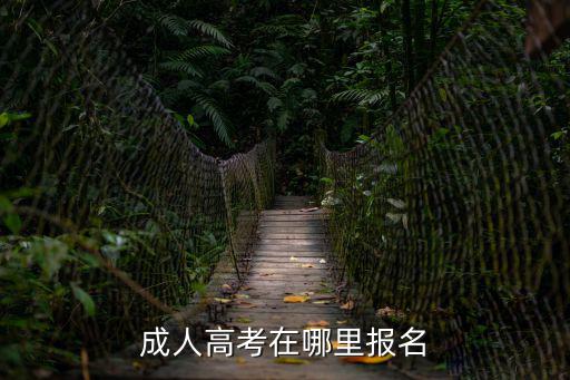 成人高考報名網(wǎng)站，成考在哪個網(wǎng)站報名