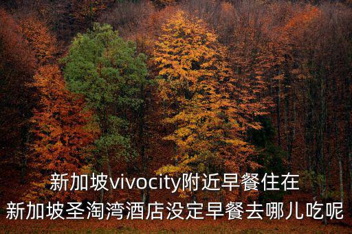 新加坡vivocity附近早餐住在新加坡圣淘灣酒店沒(méi)定早餐去哪兒吃呢