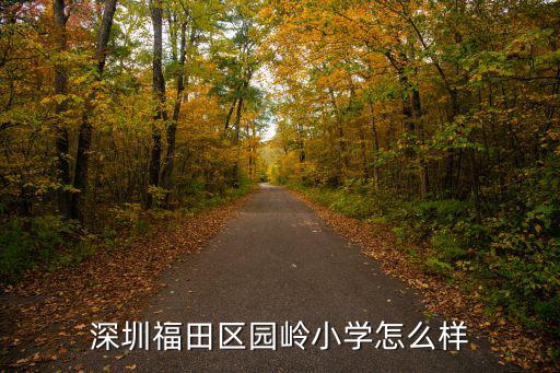 深圳福田區園嶺小學怎么樣