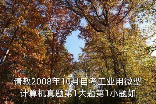 請(qǐng)教2008年10月自考工業(yè)用微型計(jì)算機(jī)真題第1大題第1小題如