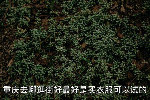 重慶步行街，重慶主城區(qū)共有多少條步行街
