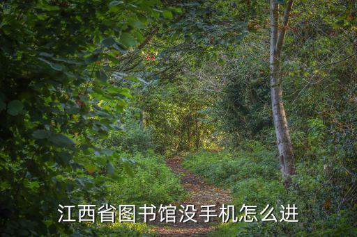 江西省圖書館官網(wǎng)，江西省圖書館沒手機怎么進
