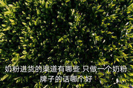 奶粉進貨的渠道有哪些 只做一個奶粉牌子的話哪個好