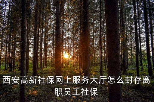 西安高新社保網上服務大廳怎么封存離職員工社保