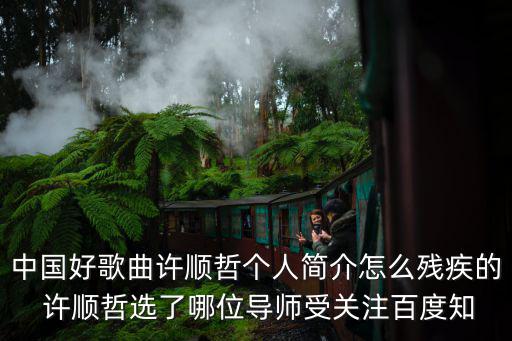 許順哲，長春依凡琴行和滾石琴行哪家吉他教的好