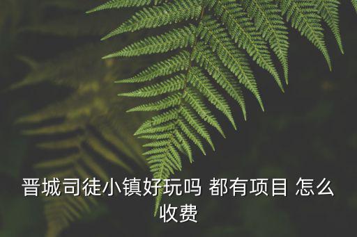 司徒小鎮(zhèn)，晉城司徒小鎮(zhèn)怎么樣