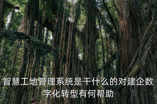 是干什么的，問問是干什么的