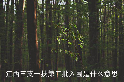 江西三支一扶第二批入圍是什么意思