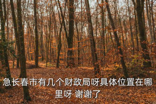 急長(zhǎng)春市有幾個(gè)財(cái)政局呀具體位置在哪里呀 謝謝了
