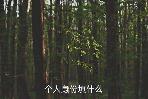 個人身份填什么