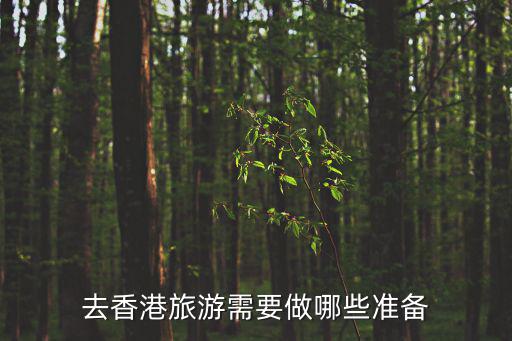 去香港旅游需要做哪些準備