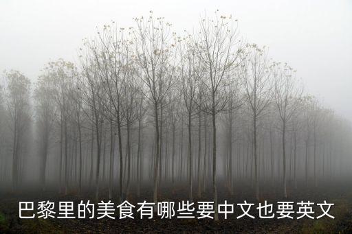 巴黎里的美食有哪些要中文也要英文
