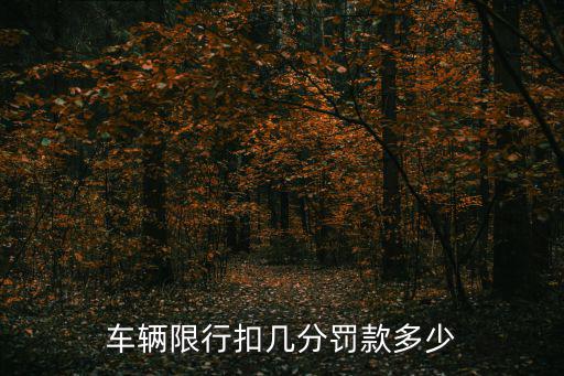 車輛限行，汽車限行是什么意思