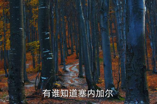 有誰知道塞內加爾