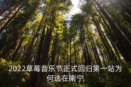 草莓音樂節，如何承辦草莓音樂節