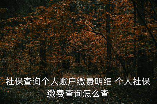社保查詢個人賬戶繳費明細 個人社保繳費查詢怎么查