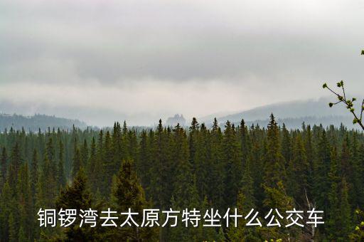 太原方特，銅鑼灣去太原方特坐什么公交車