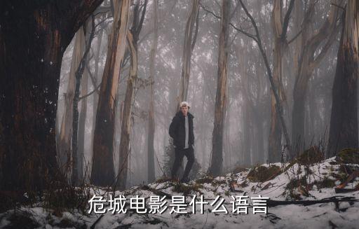 危城電影是什么語(yǔ)言